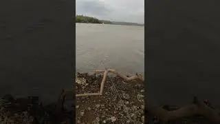 Best fishing spot in North goa. 🎣🎣🎣 #fishing #goaindia