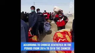 Uyghurs sea food Forced labor