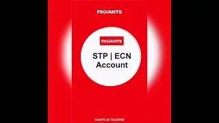 STP | ECN Account