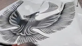 1981 Pontiac Trans Am Special Edition Daytona Pace Car - FOR SALE