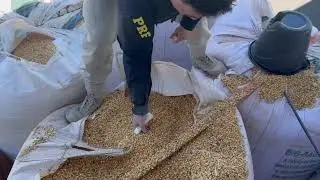 PRF apreende carga de agrot&oacute;xicos ilegais e 42 kg de coca&iacute;na em a&ccedil;&otilde;es na regi&atilde;o do Paran&aacute;