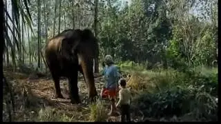GANESHAPARK Les &eacute;l&eacute;phants de Fran&ccedil;ois
