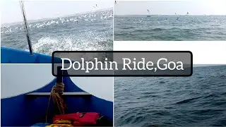 Dolphin Ride | Goa | Goa Travel Guide | Dolphin point Goa | Goa Tourism | Reshu's Corner