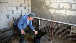 Новий дім для нутрій