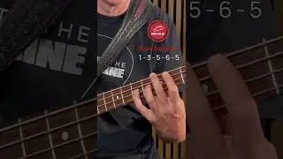 Blues Bass Linie f&uuml;r Anf&auml;nger #bass #onlinebasslessons #basslernen