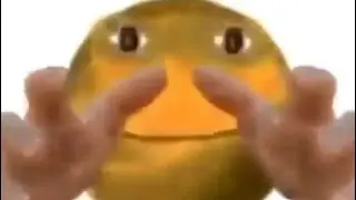 p a c m a n f e v e r
