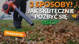 3 SPOSOBY - Jak skutecznie pozbyć się liści z trawnika!