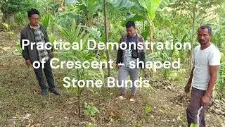 Crescent Stone Bunds with Mulch