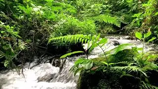 Meditative Water Stream to help Falling Asleep Fast & Tension Release