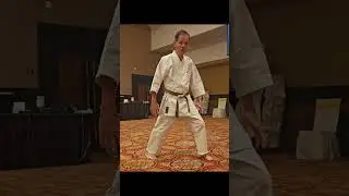 51st Goshin-Ryu Karate Annual Training Camp 2025. (Datuk Soke Clement Soo)