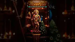 🦚🙏கருணை கடலே முருகா 🦚#murugan shorts #Tiruchendur #Tiruchendur murugan whatsapp status #Red Sand #