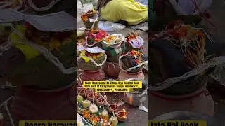 Poora Narayanbali Ka Vidhan Kiya Jata Hai Book Pitra Dosh At Narayanishila Temple Haridwar