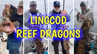 Lingcod - Santa Barbara Island with Matame Fishing (The Musical) EP3