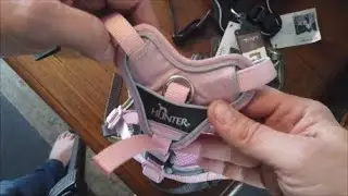 Het Beste Y-Tuig voor Kleine Honden: Comfort en Veiligheid voor je Mini-Hondje.