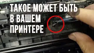 Чистка памперса, помпы, разборка, подготовка к транспортировке принтера Canon IP 4950  Часть 2  Окон