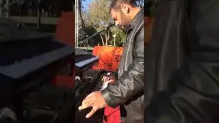 sökeli hasret & komlardayım~armut ağacı