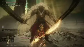 Elden Ring DLC - Consort Radahn No Hit