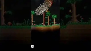 100 Can&aacute;rios vs G&ecirc;meos 😱