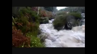IRISH KAYAKING,SOURCE AND INCHAVORE