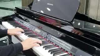 KURZWEIL MPG100