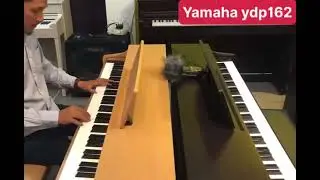 Yamaha Ydp162