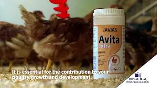 Avita Extra; Sodium bicarbonate filler supplemented with vitamins and minerals for poultry