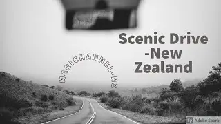 【ニュージーランドドライブ】Scenic drive in New Zealand Nelson to Havelock