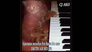 CJ AKO - Красивая мелодия для души без слов Dmitry Air 1