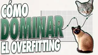 Cómo EVITAR el OVERFITTING! (en ESPAÑOL) ✅