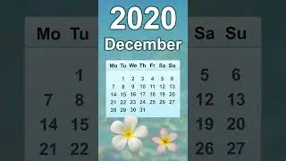 December 2020 Calendar