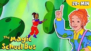 Pollination, Photosynthesis & More | Plant Biology Science for Kids | The Magic School Bus