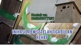 Hasil tiga bulan setelah rehap rbw #walet