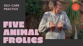 5 Animal Frolics (Wu Qin XI) health Qigong exercise