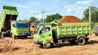 Truk Jomplang Mobil Truk HINO DUTRO 300 Bongkar MUATAN TANAH Urug FULL BAK Menggunung DILOKASI BARU