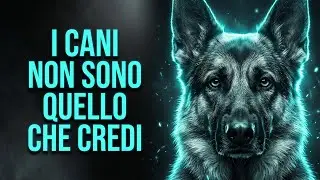 Il Tuo Cane Lo Sa Prima di Te? La “Profezia” Che Sta Accadendo Ora