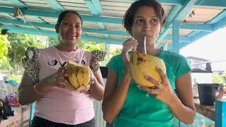 Рыбное карри Гилбака | Тушеная курица #семья #еда #кулинария #подписка #fyp