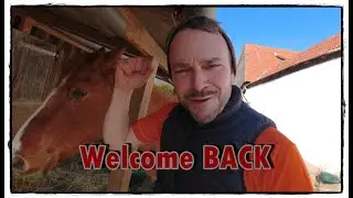 Hoschi is back - Freue mich auf Euch | Pferde Hoschi