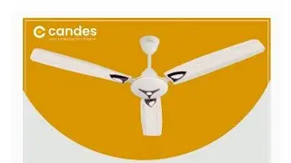 Candes Star 1200 mm Anti Dust 3 Blade Ceiling Fan |Short Review