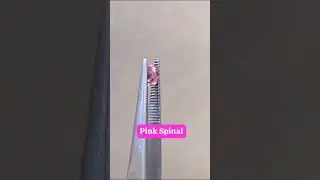 Pink spinal gemstone natural