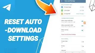How To Reset Auto-Download Settings On Telegram App