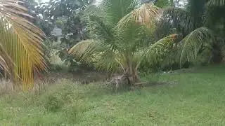 Rain water collection,  Percolation in Various Contours Naturally. Passive Irrigation System 