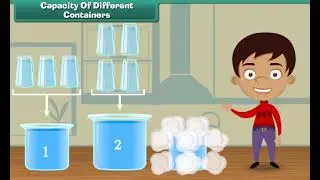 Capacity of Different Containers | Class 2 | Maths