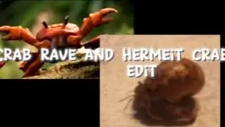 Crab rave and Hermit crab edit!