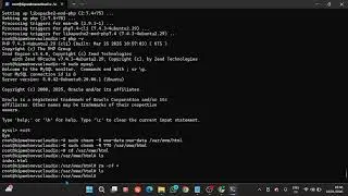 Konfigurasi Jenkins, Ngrok, dan GitHub Webhook untuk Deployment Otomatis pada LAMP Server