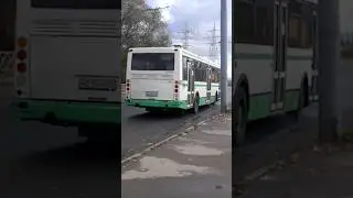 Ярославский автобус 603 экспресс глобус