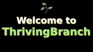 Welcome to ThrivingBranch (Introduction)