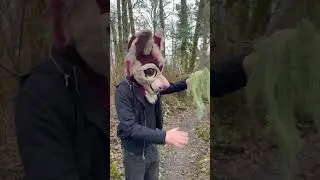Furry Finds Free Flomaria