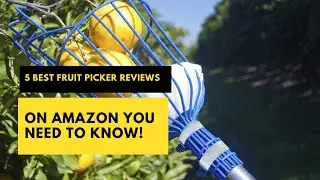 5 Best Fruit Picker Reviews on Amazon You Need To Know! #fruitpicker