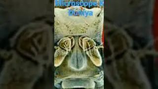 microscope ki duniya #science #microscope #yt #khan #mr #yt #shorts #youtubeshorts #india #status