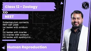 Gubernaculum connects MHT CET 2005 (a) testes with scrotum(b) testes with ovaries (c) ovaries wit...